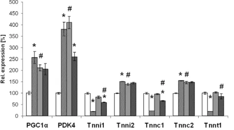 Figure 5. Substrate selection and gene expression of different muscle fibre types. LCT, long-chain triglyceride; MCT, medium-chain triglyceride; PGC1a, peroxisome proliferative activated receptor gamma coactivator 1 alpha; PDK4, pyruvate dehydrogenase kina
