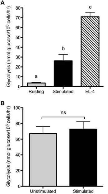 Figure 3. Glucose metabolism in T cells is regulated by MAPK signaling. Purified T cells were stimulated in the absence or presence of the ERK inhibitor U0126 (2.6 mM) or the p38 inhibitor SB203580 (20 mM) for 24 hours