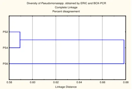 Figure  2.  Cluster  analysis  of  genomic  fingerprint  patterns  generated  by  (GTG) 5   and  ERIC  PCR amplifications of whole-cell genomic DNA  