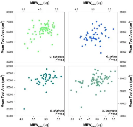Fig. 2. Measurement-based weight (MBW area ; µg) versus test area (µm 2 ) for each of the species considered as part of this study