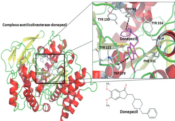 Figura 1: Estrutura química e modo de ligação do fármaco donepezil no sítio ativo da enzima  acetilcolinesterase