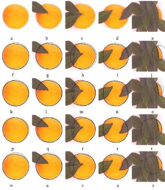 Figure  1.  Fitting  circles  of  five  images  using  different  methods.  In  the  first  row  (a-e),  the  original  images are shown