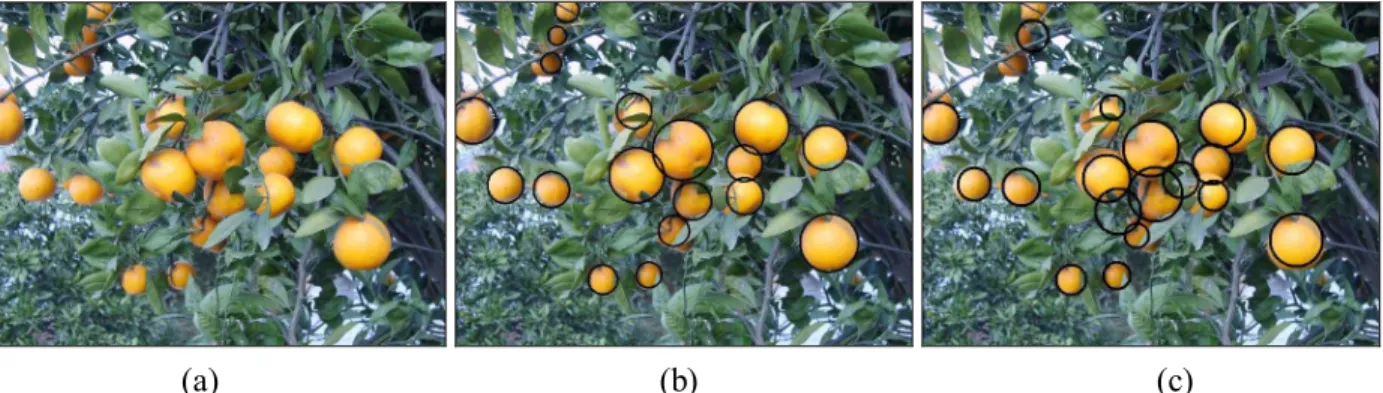 Figure  4.  Feature  extraction  of  images  obtained  in  a  natural  scene:  (a)  original  image;  (b)  feature  extraction using LSCF; (c) feature extraction using CHT 