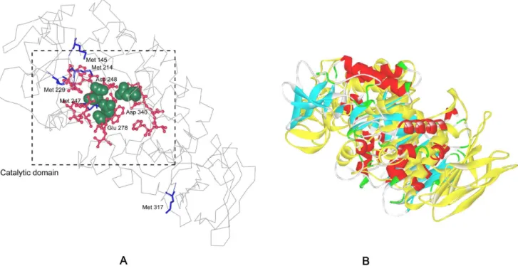 Fig. 2A shows the oxidative stability of fifteen mutants created in the first round of one-point mutations