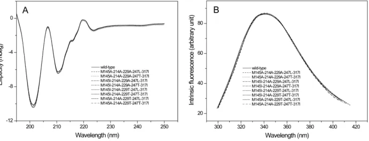 Figure 3. The circular dichroism (CD) and fluorescence spectroscopy of the wild-type and mutant proteins