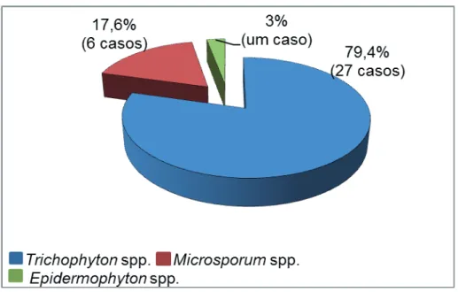 Figura 3: Prevalência de fungos não dermatófi tos encontrados nas amostras dos pacientes  atendidos em um laboratório de análises clínicas, no período de março de 2009 a outubro de 2013