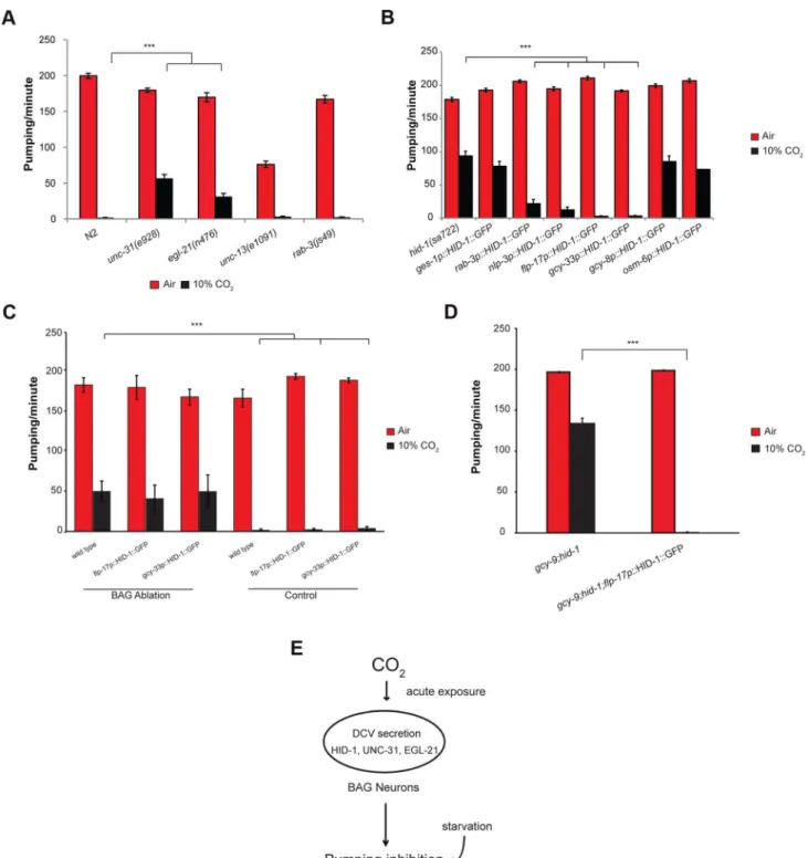 Figure 4. The effect of high CO 2 level on the pharynx requires HID-1 activity in the BAG neurons