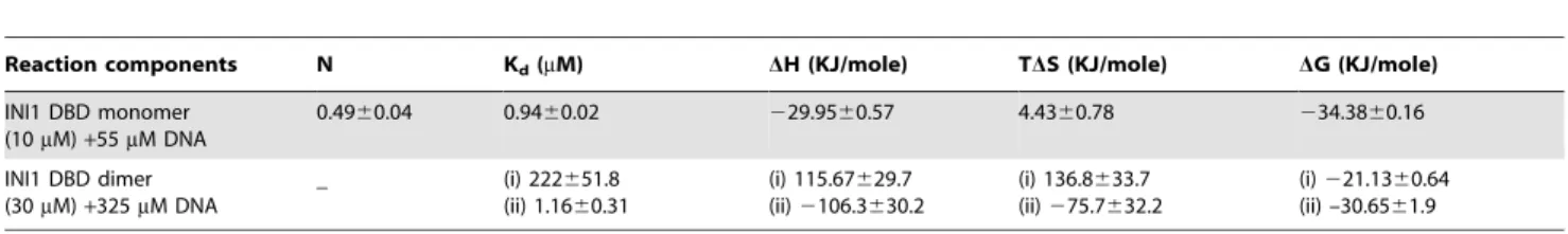 Table 2. Determination of stoichiometries, binding constants and thermodynamic parameters of INI1 DBD-DNA binding from isothermal calorimetry studies.