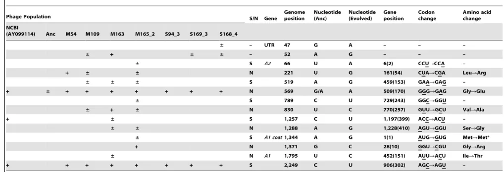 Table 3. Nucleotide sequences in the ancestral and evolved phage genomes.