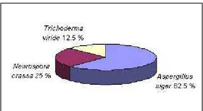 Fig. 2. Relative distribution (%) of fungal species documented in  air of quarantine room of the Cultural Center of Belgrade.