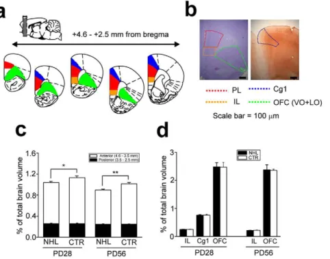 Fig. 9c) and behavioral alterations indicating impulsivity (4.4 6 1.0, n = 7; t 6 = 3.32, P = 0.023, unpaired t-test for SAL vs