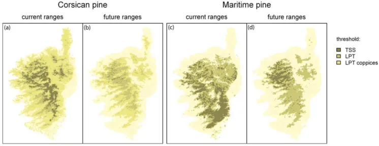Figure 5. Relative importance of the variables used to model the Corsican Nuthatch distribution