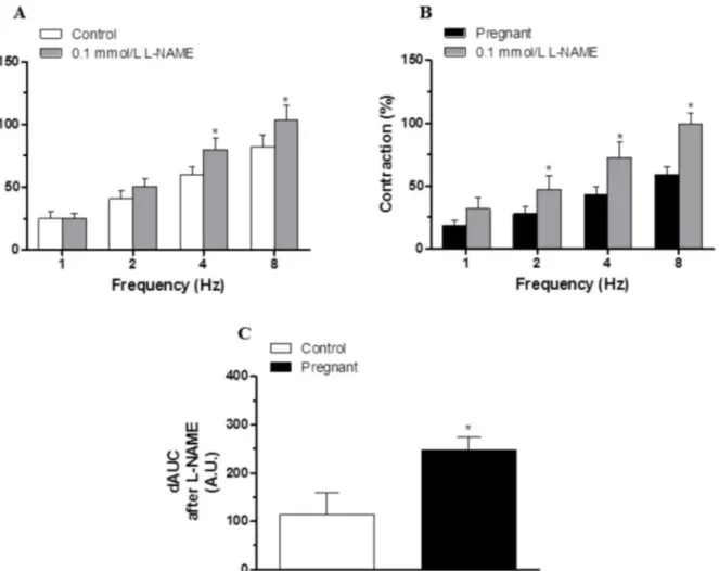 Fig 5. Effect of pregnancy on nitrergic innervation. Effect of preincubation with 0.1 mmol/L L-NAME on the vasoconstrictor response induced by EFS in mesenteric segments from (A) control and (B) pregnant rats