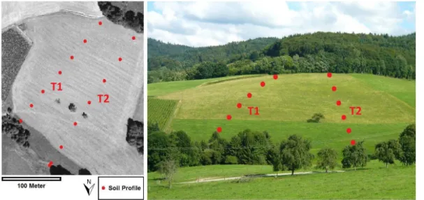 Fig. 1. Transect T1 and transect T2 along the study hillslope from above (left) and from below (right).