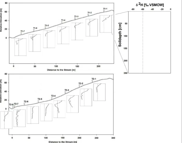 Fig. 3. Longitudinal profile of transect T1 (upper) and transect T2 below with the vertical depth deuterium profiles of pore water.