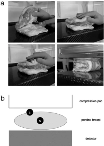 Figure 1. Setup for in-vitro testing (photographs (a), scheme (b)). A cadaveric porcine breast simulates the human breast