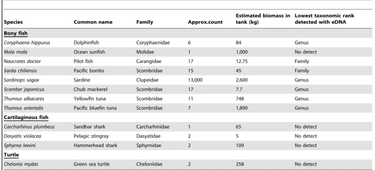Table 1. Species composition of the Monterey Bay Aquarium Open Sea Tank and presence/absence based on eDNA detection.