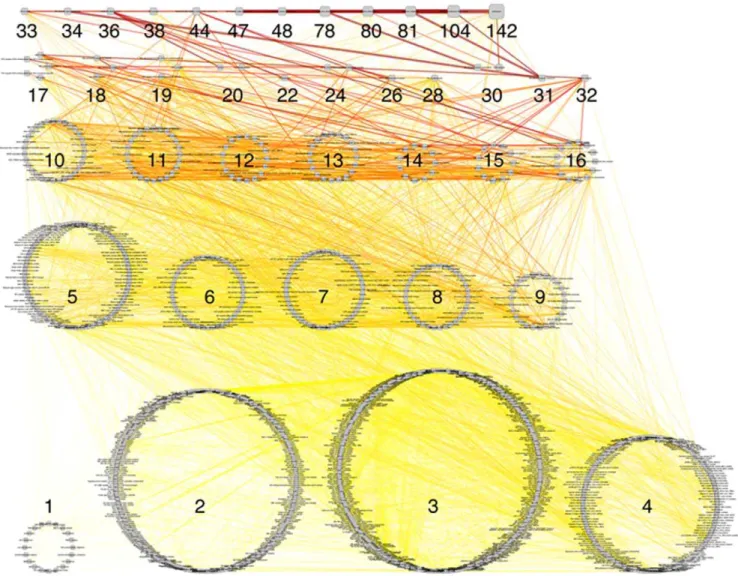 Figure 1. A network representation of the CORUM database. Nodes represent complexes and are ordered by number of unique components (shown as number next to groups)