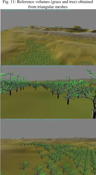 Fig. 11: Reference volumes (grass and tree) obtained  from triangular meshes  