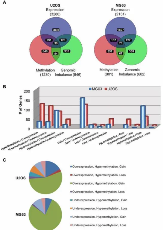 Figure 6. VENN analysis of gene-specific epigenetic, genetic, and gene expression changes in U2OS and MG63
