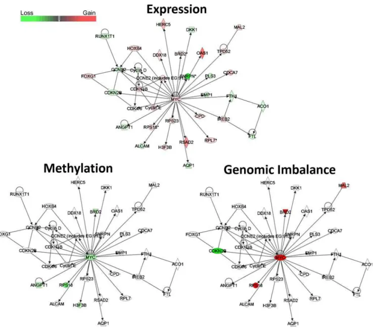 Figure 7. MYC network-related changes in gene expression, DNA methylation, and genomic imbalance in MG63 cells