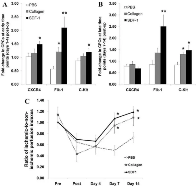 Fig. 4. Functional effects of collagen &amp; SDF-1 microsphere matrix treatments in vivo