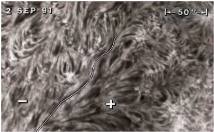 Fig. 1. An empty filament channel is recognized in an H α image from the Big Bear Solar Observatory
