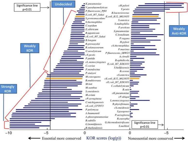 Fig 2. Bacteria model KOR scores across all possible media. Each horizontal bar represents a KOR score interval — the minimum and maximum scores attained by the model across all possible media