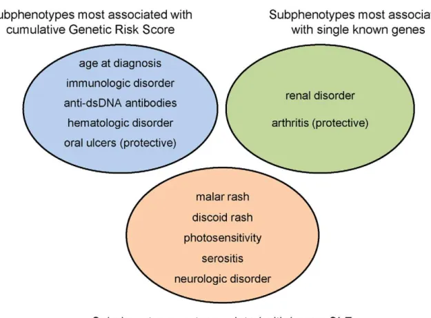 Figure 4. Categorization of SLE subphenotypes by strongest association with currently known susceptibility loci: genetic risk score, single locus, or none.