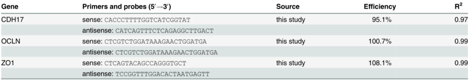 Table 2. Primers used for SYBR assays.