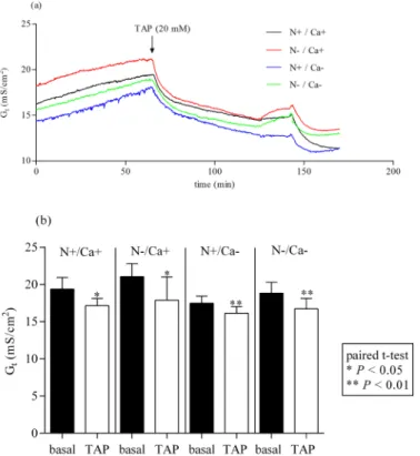 Fig 1. Effect of mucosal addition of 20 mM TAP in the proximal jejunum. TAP, 2,4,6 triaminopyrimidin.