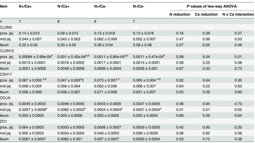 Table 5. RNA expression of tight junction proteins normalised to GAPDH in the proximal and mid jejunum and ileum of goats fed an N and/or Ca reduced diet.