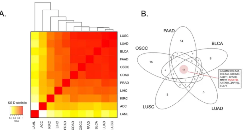 Fig 5. Pan-cancer NN analysis highlights PDGFRβ as a potential CAF marker in multiple cancer types A