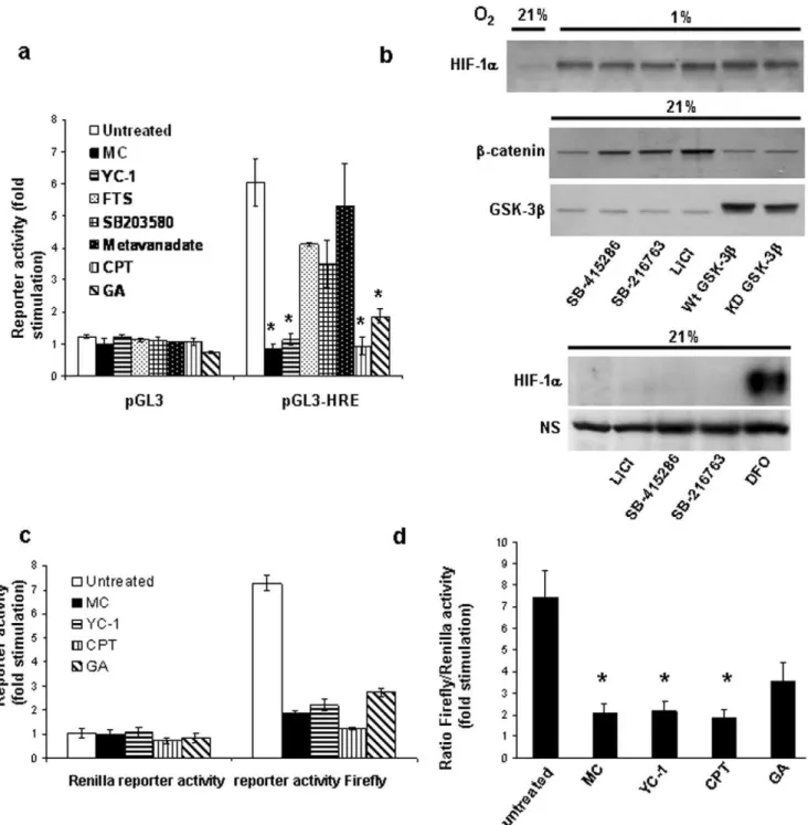 Figure 1. Effect of various HIF inhibitory compounds. (a) Hypoxia-dependent HIF-1a transcriptional activity was measured using HRE-dependent reporter assays as described under Materials and Methods
