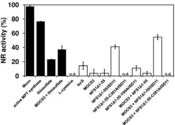 Figure 6. Reconstitution of nitrate reductase activity in N. crassa nit-1 extracts using different sulfur donors