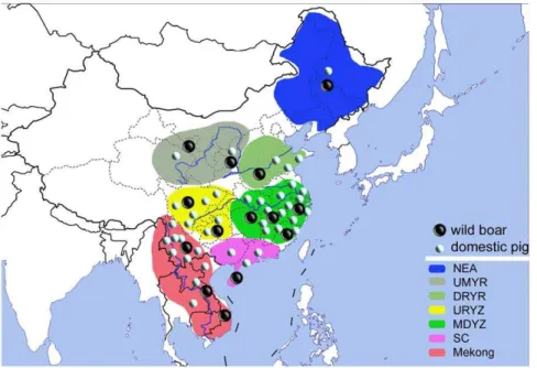 Figure 1. Geographical and group distribution of the East Asian wild boars and domestic pigs sampled