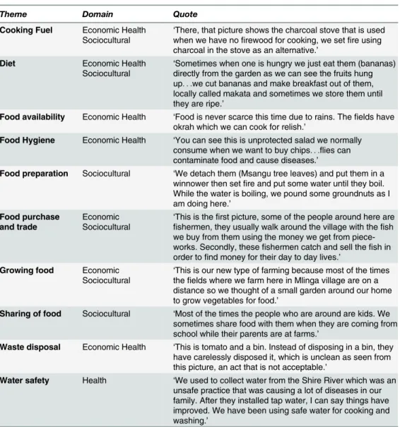 Table 1. Full list of themes arising from data analysis. Themes are shown with illustrative quotes and associated domains.