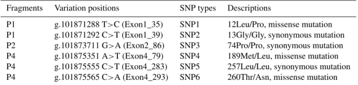 Table 2. Genotypes of different mutations corresponding to PCR-SSCP types in cattle