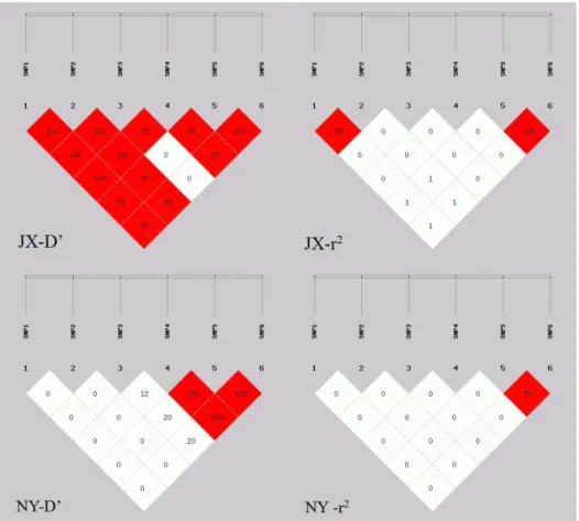 Figure 2. Linkage disequilibrium of Nanog gene polymorphisms in Jiaxian and Nanyang cattle