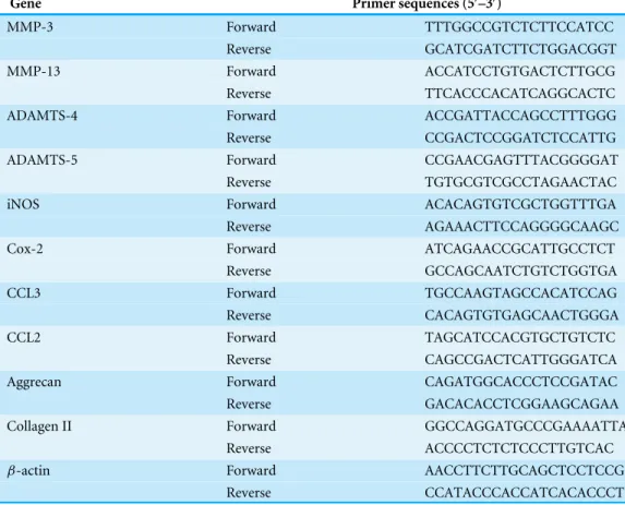 Table 1 Sequences of the primers used in the polymerase chain reaction (PCR).