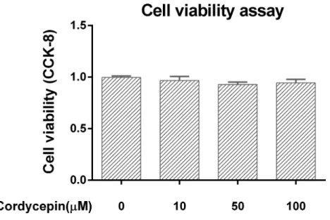 Figure 1 Cell viability assay in the NP cell culture model. We used CCK-8 to measure the NP cell viability in a monolayer culture model