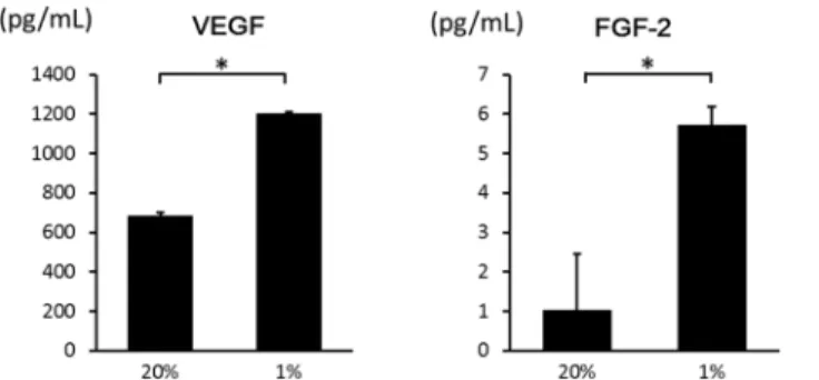 Fig 5. Effects of hypoxia on the secretion of VEGF and FGF – 2 from ASCs. The secretion of VEGF and FGF – 2 into the medium in hypoxia was significantly higher than in normoxia