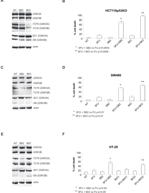 Figure 3. Chemical inhibition abolishes drug resistance of p53-null colon carcinoma cell lines