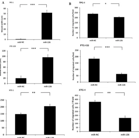 Fig 3. MiR-126-3p overexpression inhibits the migration of thyroid cancer cells. Wound healing assay (A) and Boyden chamber assay (B) data