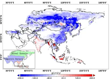 Figure 4. Fluxes per ecoregion in Asia averaged over the period 2006–2010 in Cases 1 and 2 (in Pg C yr −1 ).