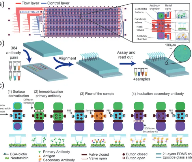 Fig 1. Workflow schematic. a) microfluidic design: the device consists of two PDMS layers: flow (blue) and control (red)