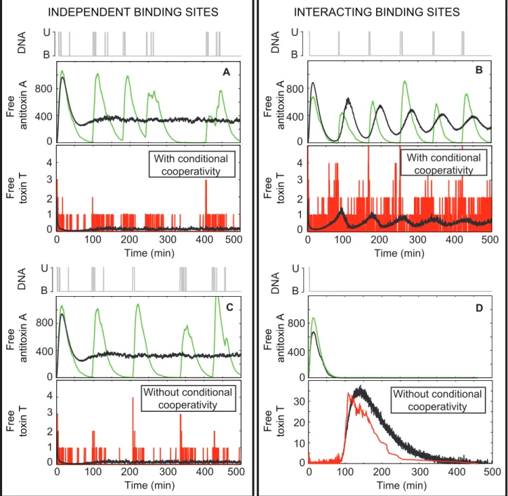 Figure 4. Conditional cooperativity has a larger influence on system dynamics in the interacting binding sites model