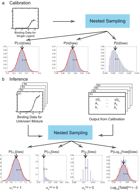 Figure 1. Bayesian algorithm for predicting ligand concentrations in mixtures. (a) Calibration of the algorithm: single-ligand, single- single-receptor binding curves are used to infer binding free energy D G, efficacy A and background intensity b for ever