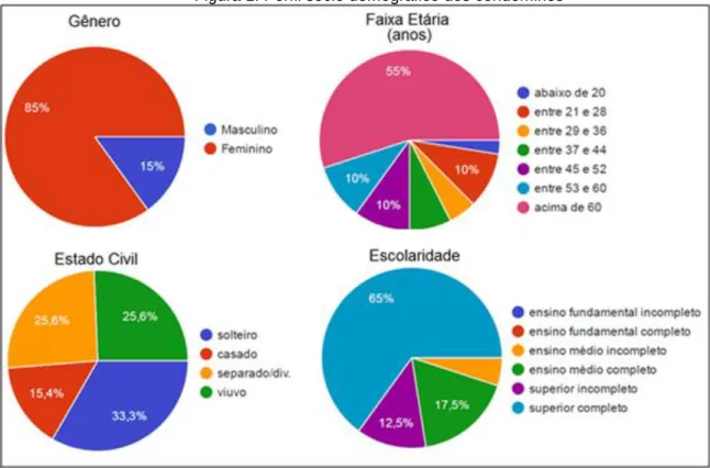 Figura 1: Perfil sócio demográfico dos condôminos 