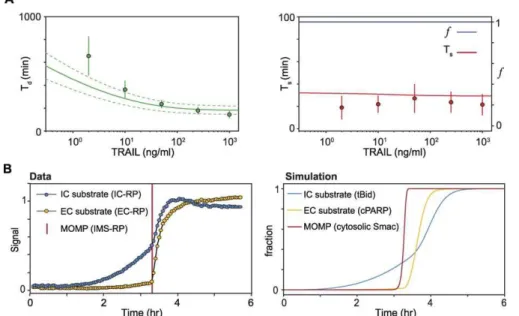 Figure 5 and Table S5). Experimentally, targeting oligos were always compared in parallel to nontargeting controls.